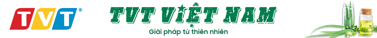 Công Ty TNHH Tiến Việt Thái